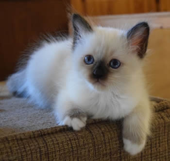Tina